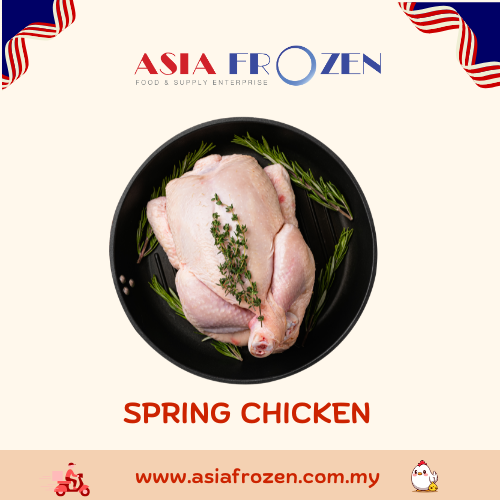 Spring Chicken ͯӼ 800-900g +- FRESH CHICKEN Melaka, Malaysia Supplier, Suppliers, Supply, Supplies | ASIA FROZEN FOOD & SUPPLY ENTERPRISE