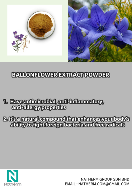 BALLONFLOWER EXTRACT POWDER Halal ingredients Malaysia, Selangor, Kuala Lumpur (KL), Semenyih Manufacturer, Supplier, Supply, Supplies | Natherm Group Sdn Bhd