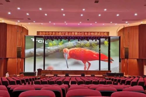 LED Screen P3