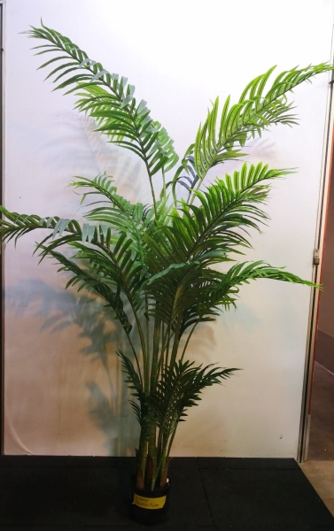 2m Phoenix Palm AP540 floristkl (Rent Available) Artificial Plant (Sell & Rent) Kuala Lumpur (KL), Selangor, Malaysia Supplier, Suppliers, Supply, Supplies | Shirley Florist