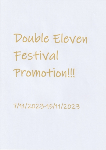 DOUBLE ELEVEN FESTIVAL !!