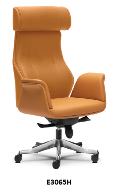 Director Chair