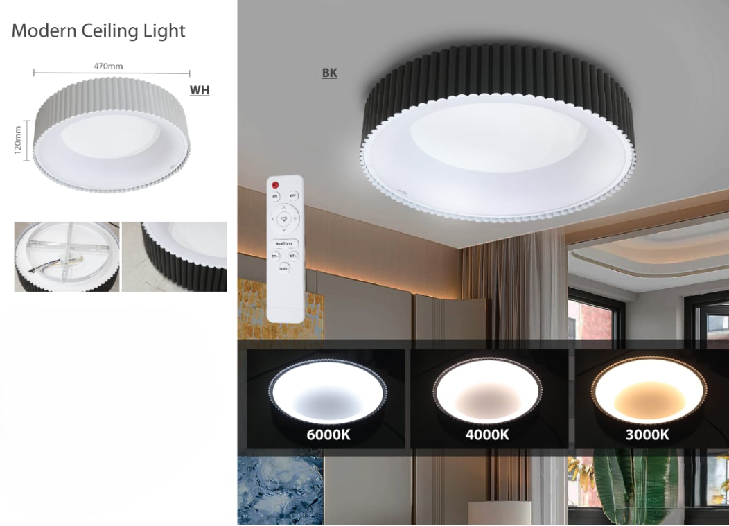Modern Ceiling Light