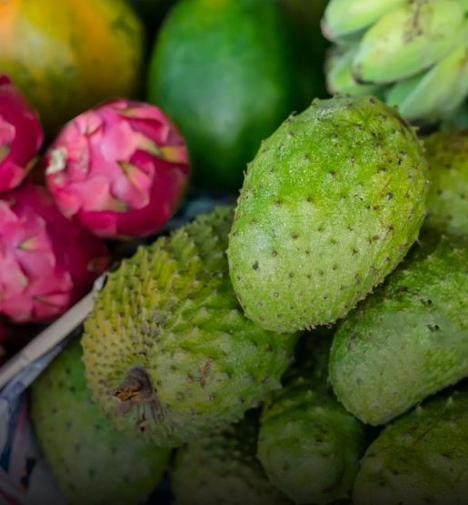 Tropical And Exotic Fruits Procurement