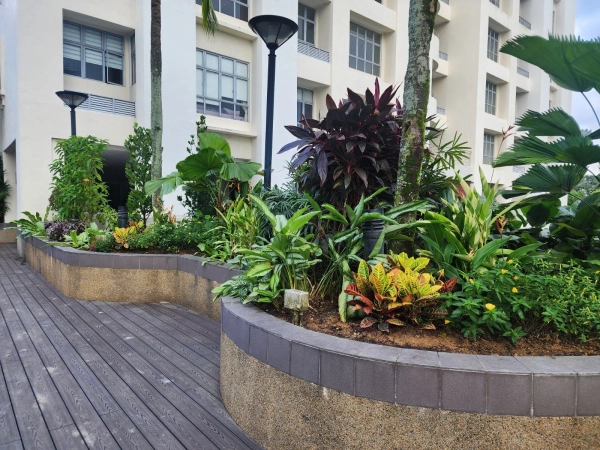 Bloomscape Creations:为令人惊叹的户外空间提供一流的景观种植服务