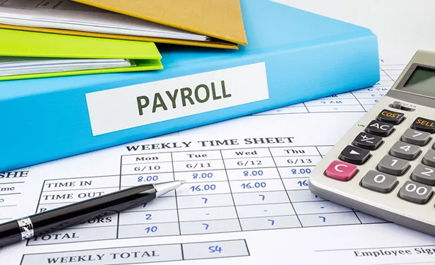 Payroll & HR Services 薪资与人力资源服务 