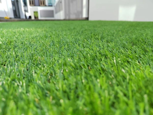 Landscape Supply & Install Service (Johor Bahru)
