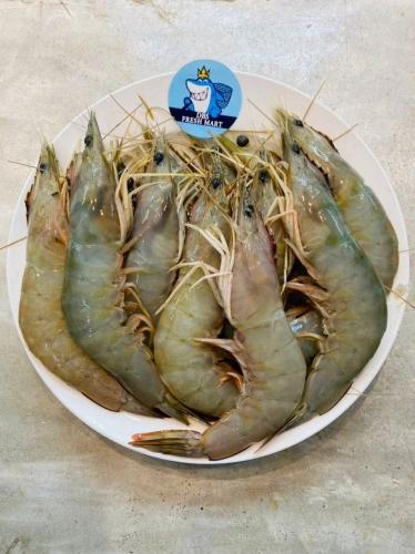 Local Wild Udang Putih (AA) 500g Approx . 13-15pcs Per Pack