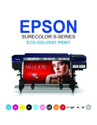 EPSON SC-S80670