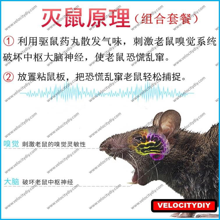 （驱鼠器）Repel Mice and Rats Mouse Repellent halau Tikus