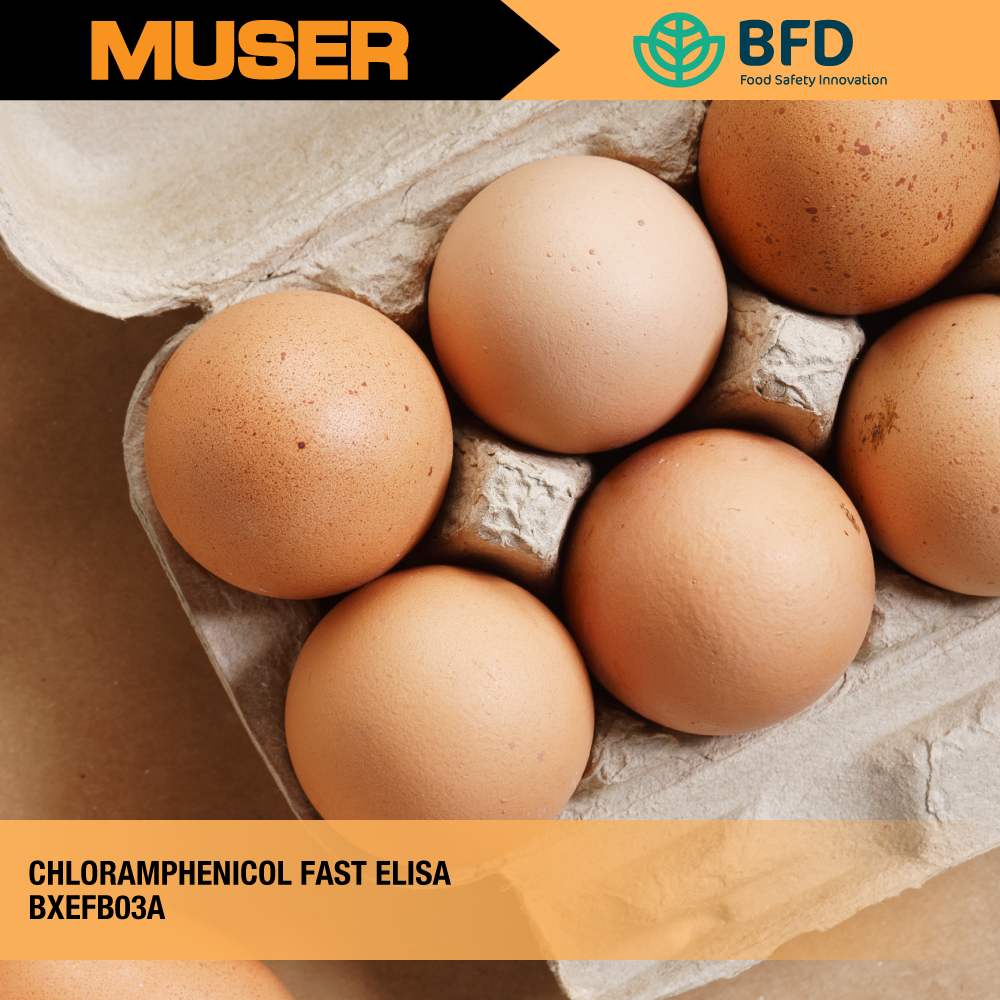 Chloramphenicol FAST ELISA | Biorex Food Diagnostics by Muser
