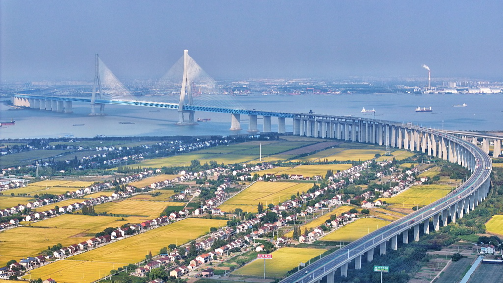 Foreign investors, experts confident about China's economic potential
