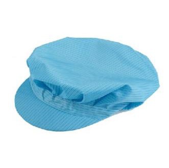 Cleanroom Cap