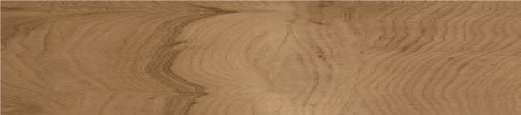 IPVL3-DW104 3mm Vinyl Tile Selangor