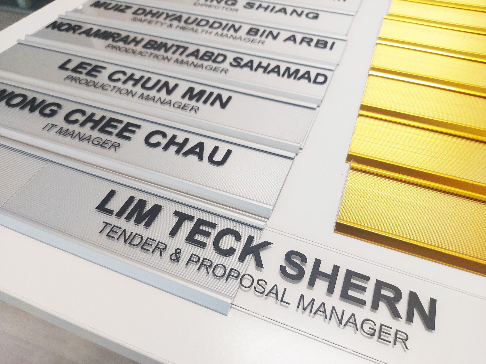 Gold & Silver Door Slot with Name Insert
