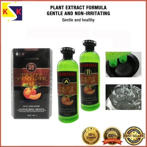 ECOSYSTEM Fruit Vinegar Natural Black Hair Color Gel 500ml*2