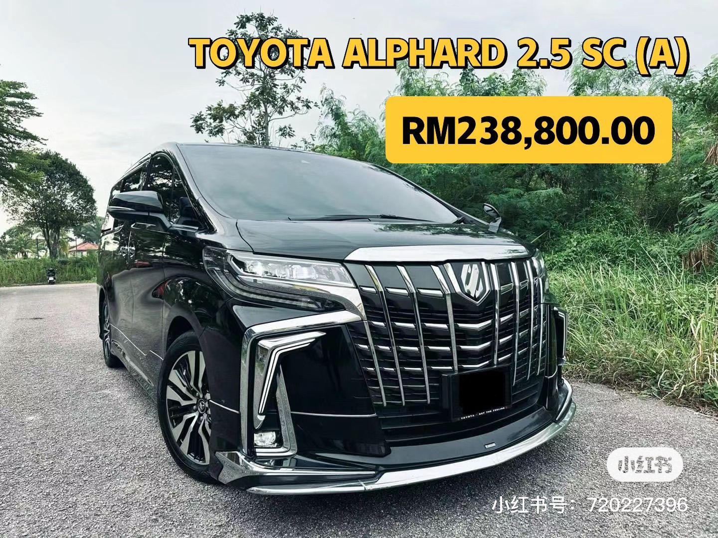 (2019) TOYOTA ALPHARD 2.5 SC (A)