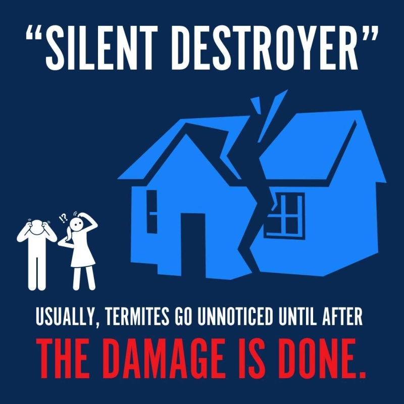 Silent Destroyer!!!