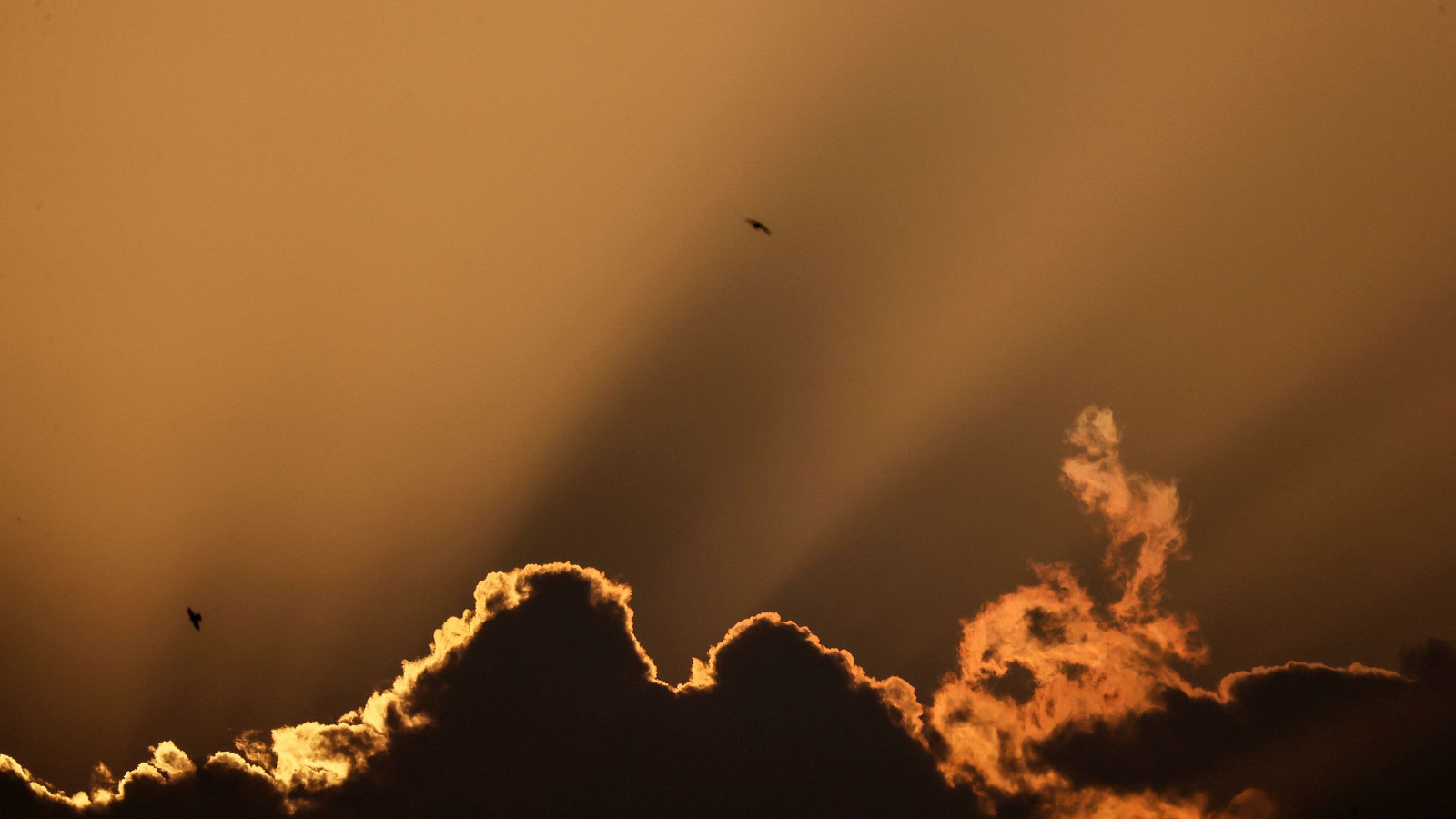 Extreme heat hits Kuwait with temperature topping 50 degrees Celsius