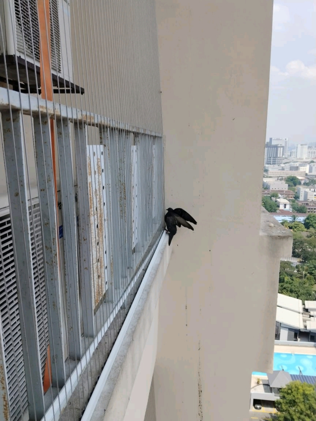 Invisible Grill done at Li Villas PJ to prevent bird flying in 