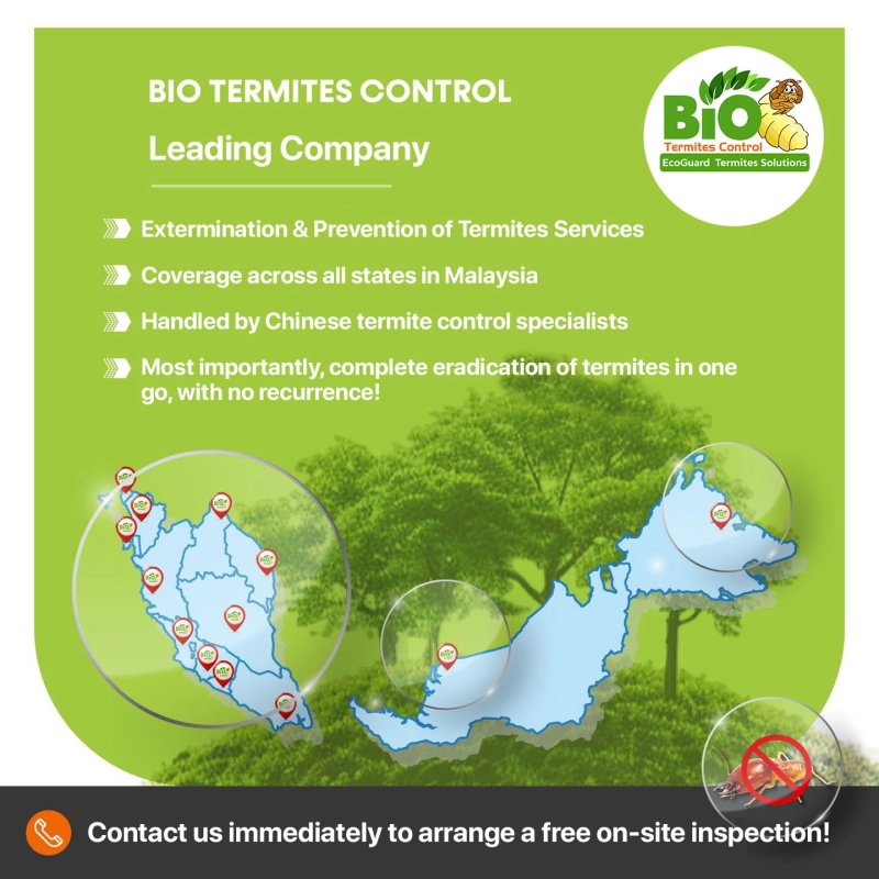 Bio Termites Control - Your Trusted Termite Extermination Experts!