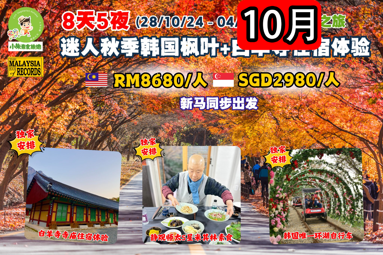 8天5夜 邂逅迷人秋季韩国枫叶+白羊寺住宿体验素食之旅 (0297 &amp; 0298)