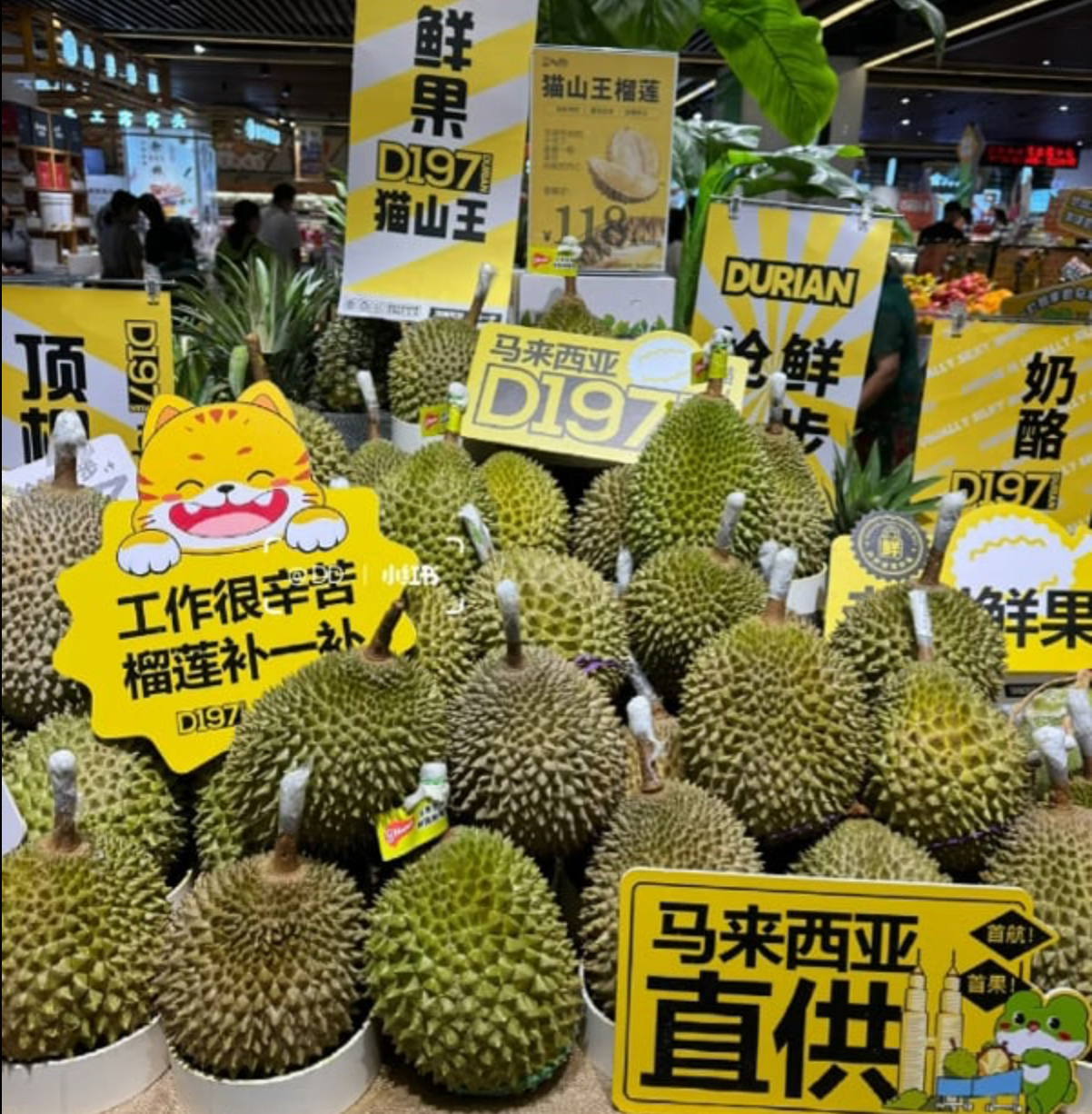 Fresh Malaysian durians on sale in China 