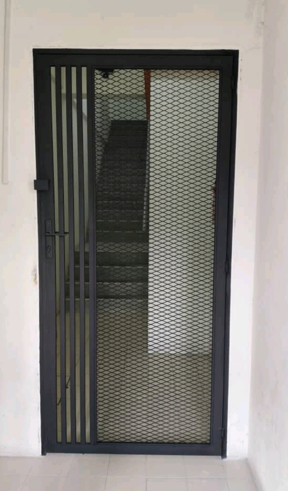 Mild Steel Diamond net Door