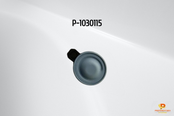 Replacement P 1030115 Diaphragm, PTFE for Prominent Pump Prominent Parts & Accessories Parts & Accessories Johor, Malaysia, Kluang Supplier, Suppliers, Supply, Supplies | Prominentdex Enterprise