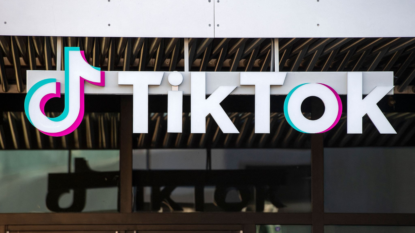 TikTok challenges U.S. ban law, citing free speech violations