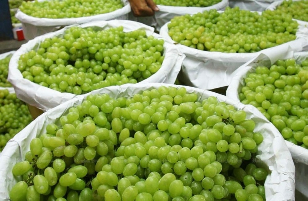 Ministry to investigate reports of chemical residues in imported ‘Shine Muscat’ grapes