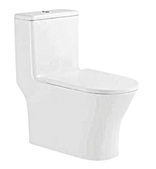 Saniware One Piece Water Closet