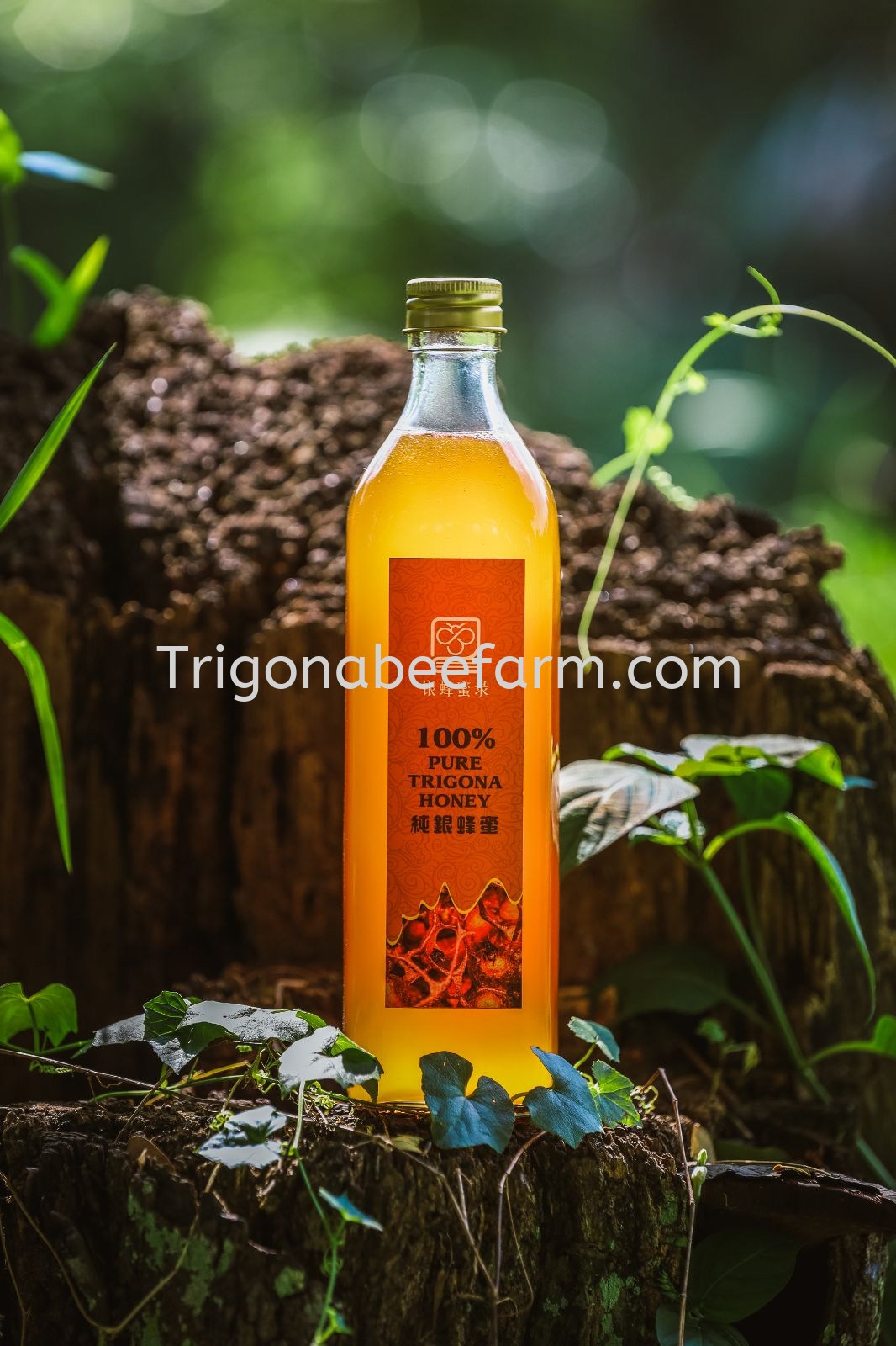 Apicalis Honey 红葡萄银蜂蜜 1kg