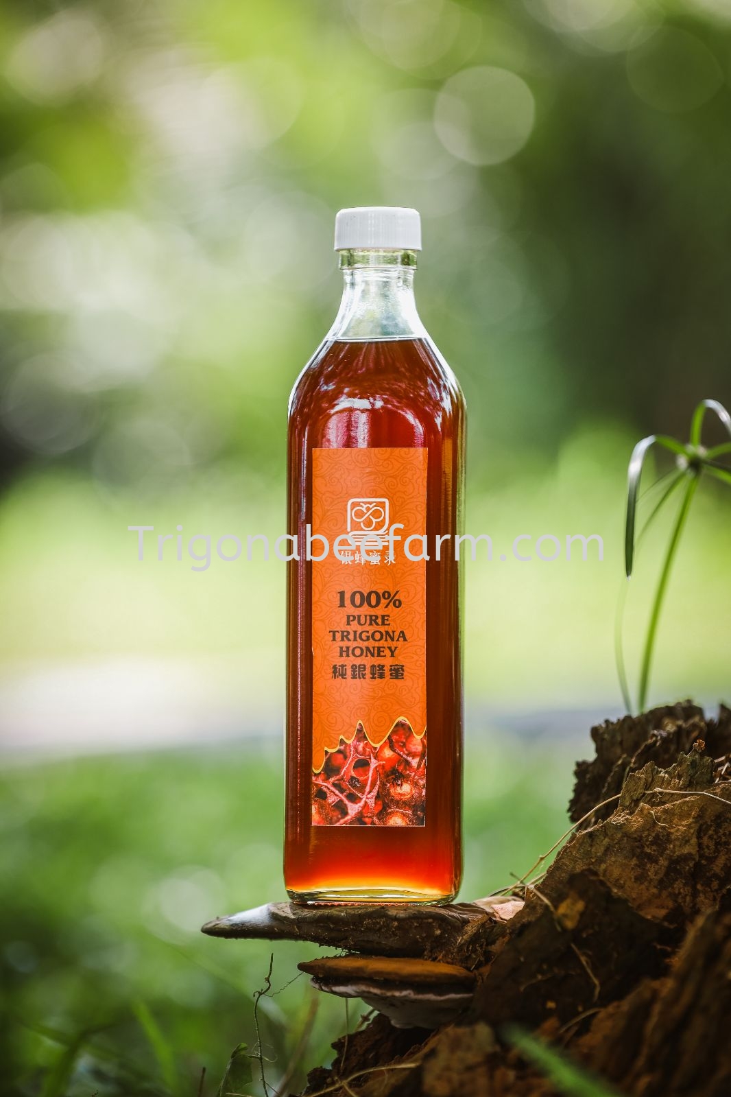 Terminata Honey 未来战士银蜂蜜 1kg