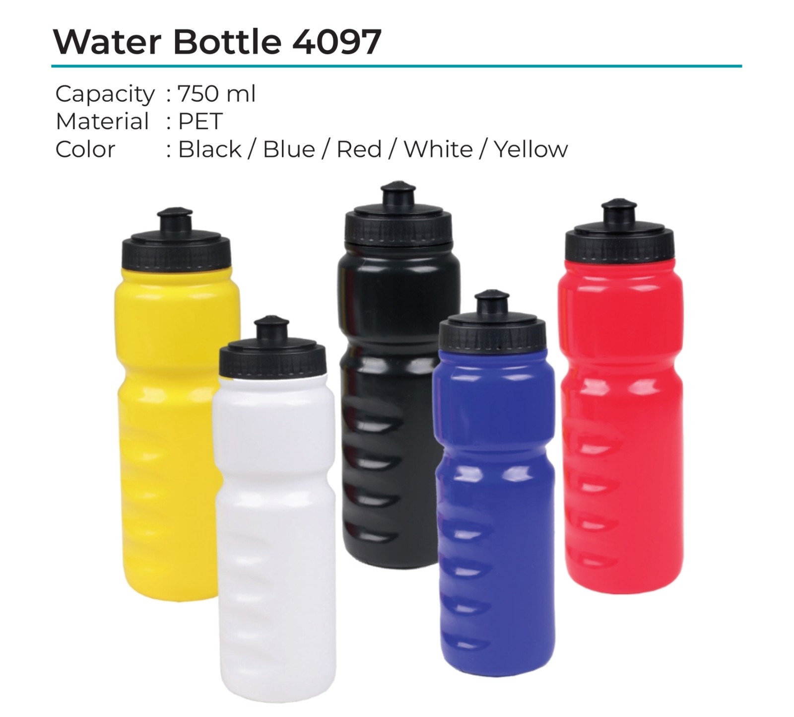 Sports Water Bottle 4097