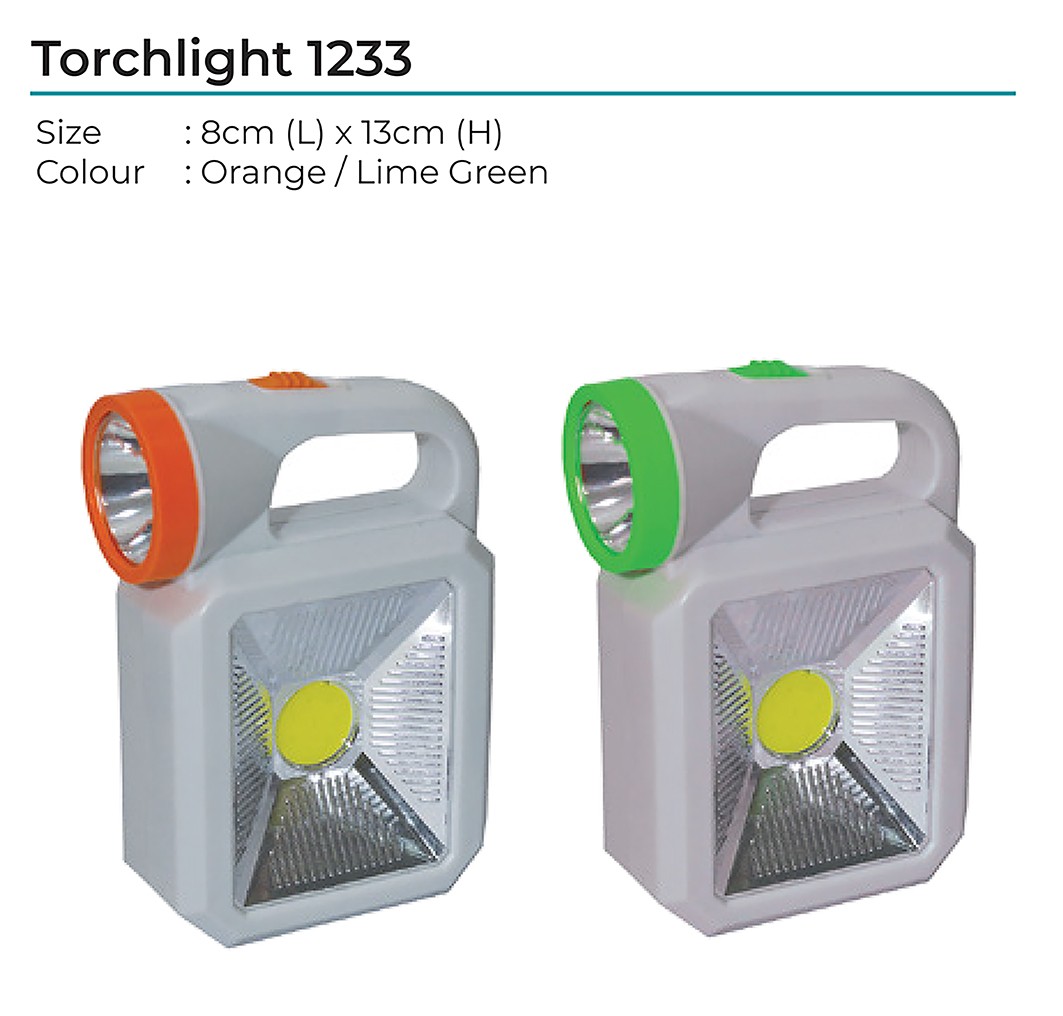 Torchlight 1233
