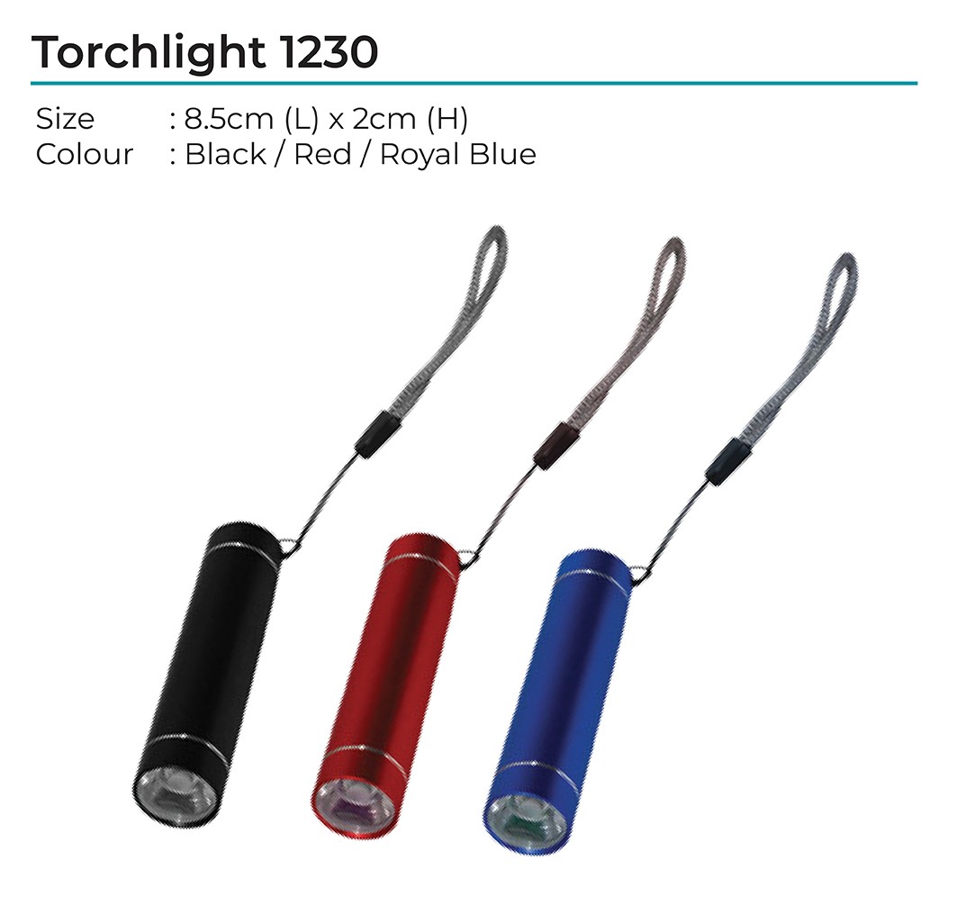 Torchlight 1230