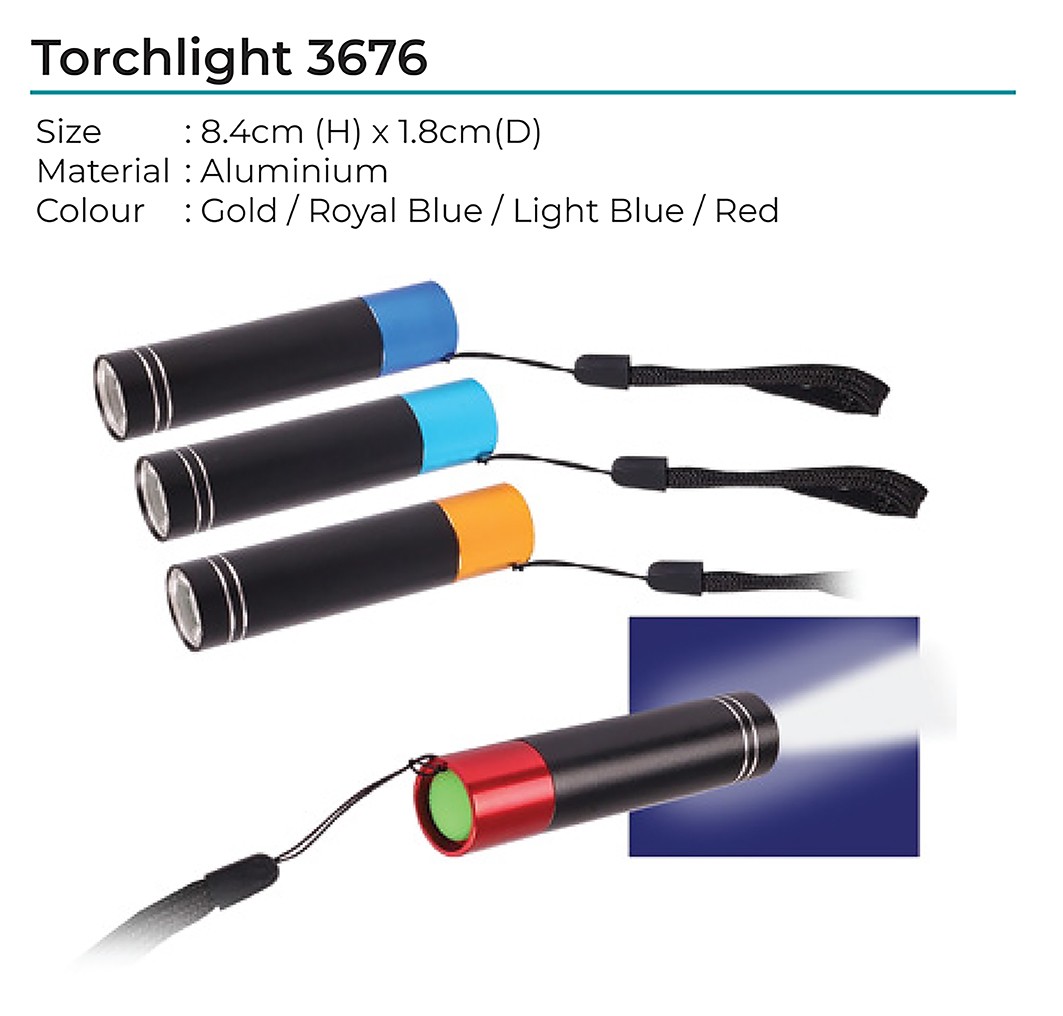 Torchlight 3676