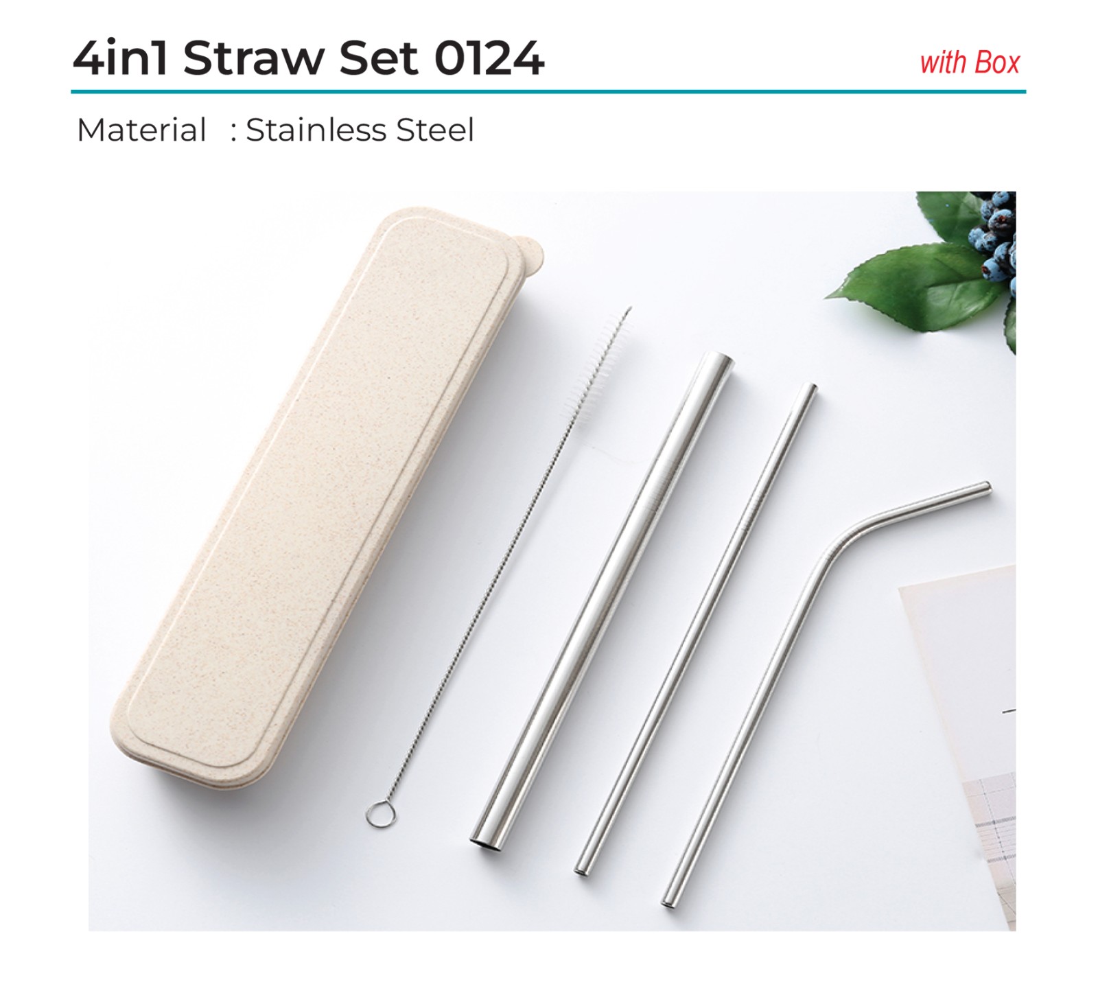 4in1 Straw Set 0124
