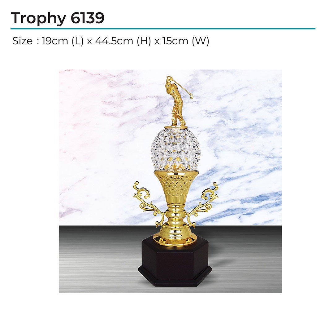 Trophy 6139