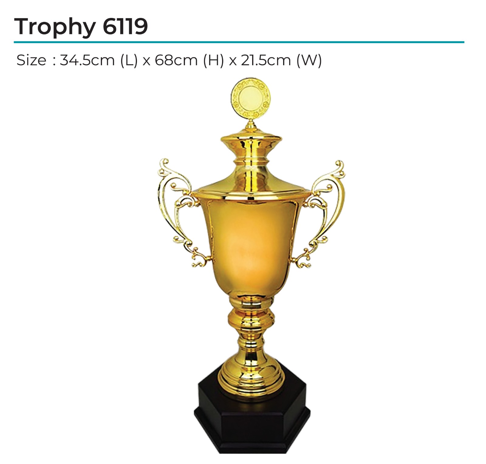 Trophy 6119
