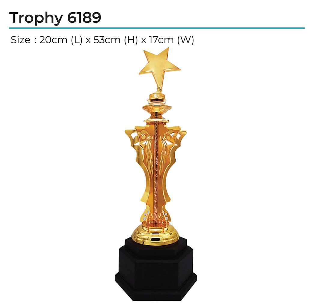 Trophy 6189