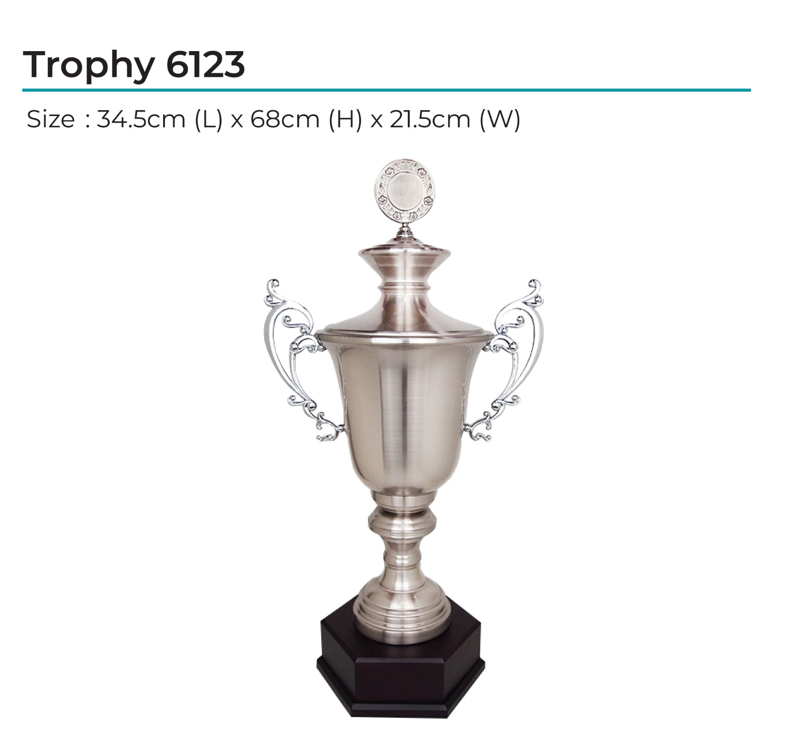 Trophy 6123