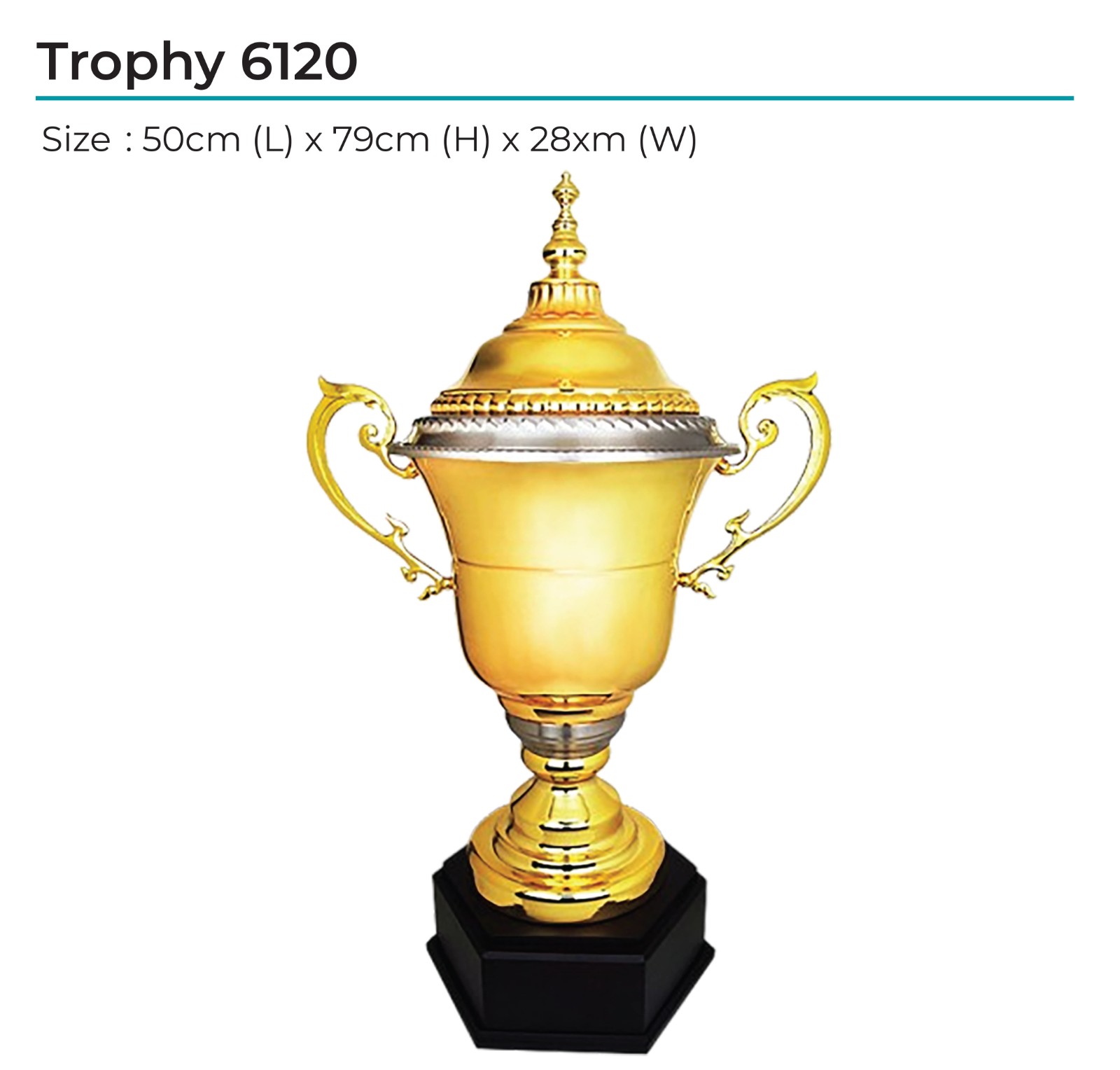 Trophy 6120