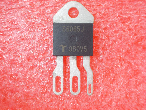 S6065J