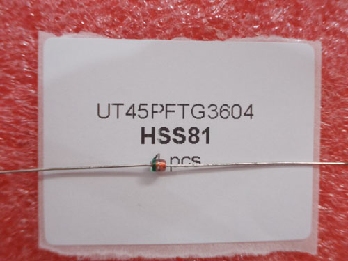 HSS81