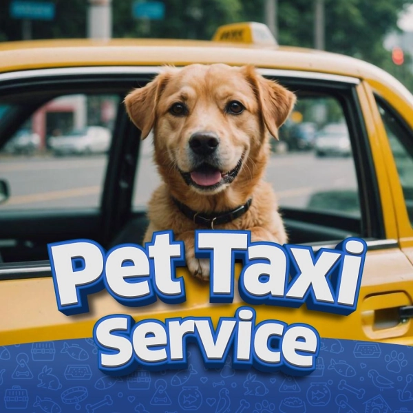 Pet Taxi