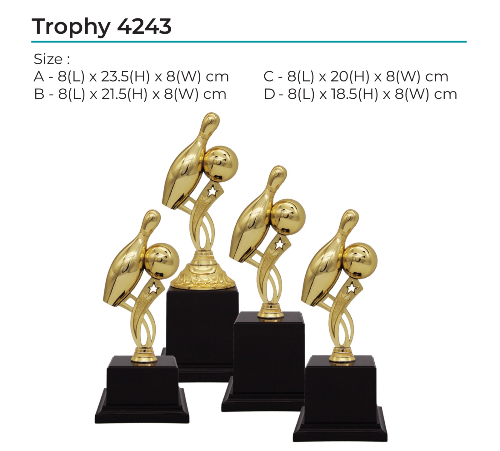 Trophy 4243