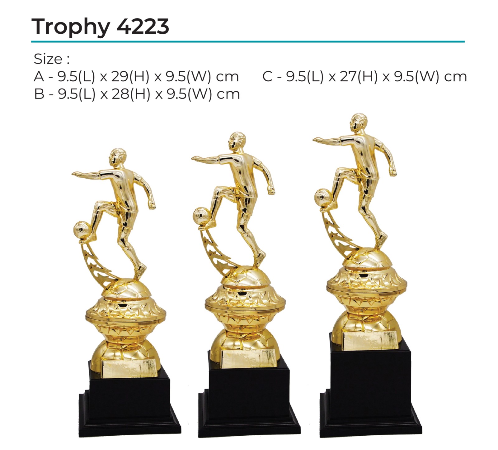 Trophy 4223