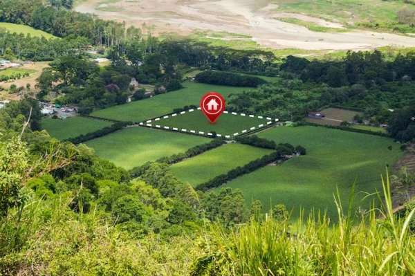 Land Search & Caveat Check